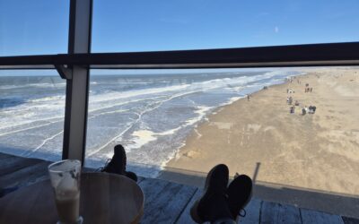 A Year in the Life of Shamna Notes from a woman building truth, health, courage and vision in real time