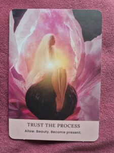 Pussy Oracle deck used for small Facebook card readings