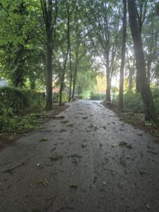 Storm aftermath near Stayokay during the week of Anicca and change